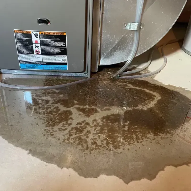 Appliance Leak Cleanup in Waterloo, NE